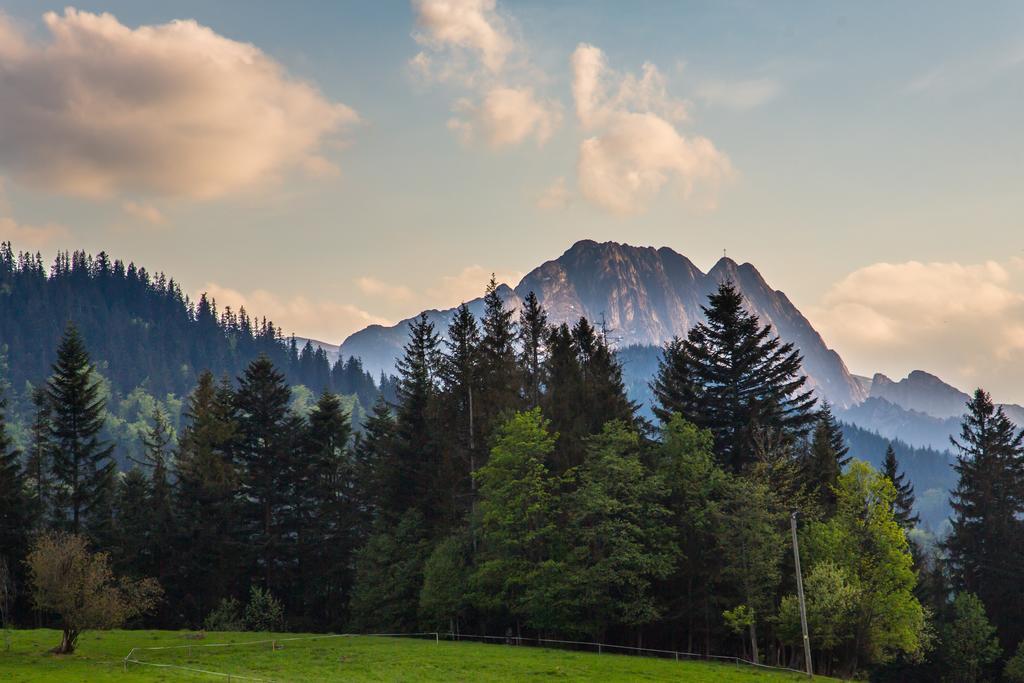 Willa Stachoniowka 2 Zakopane Luaran gambar