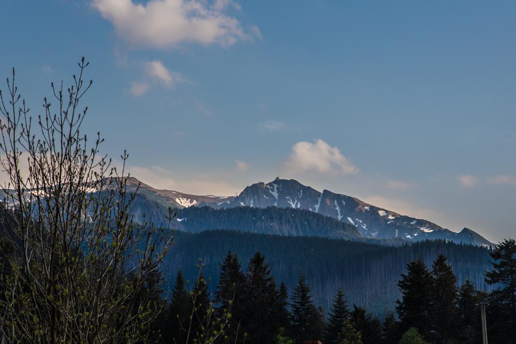 Willa Stachoniowka 2 Zakopane Luaran gambar